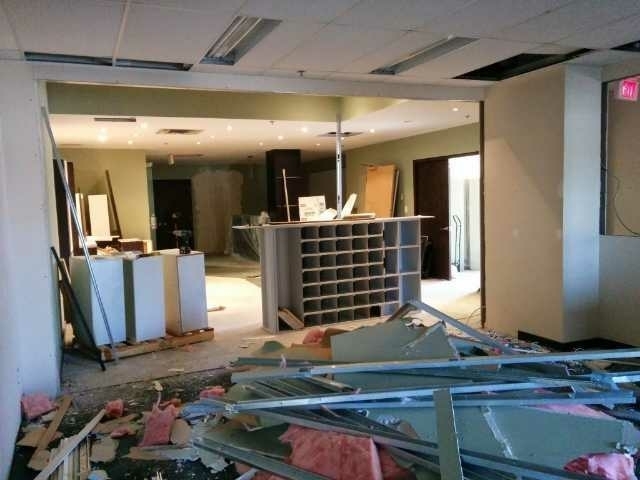 Images 5 Lion Demolition Service