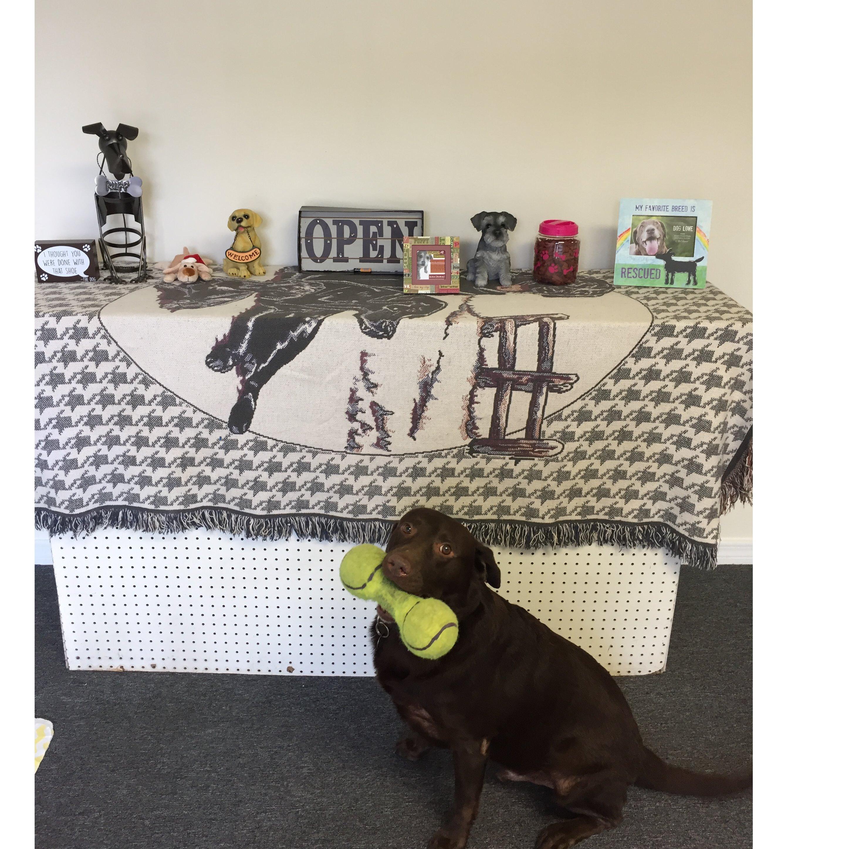 Annies pet grooming Permanently closed Logo