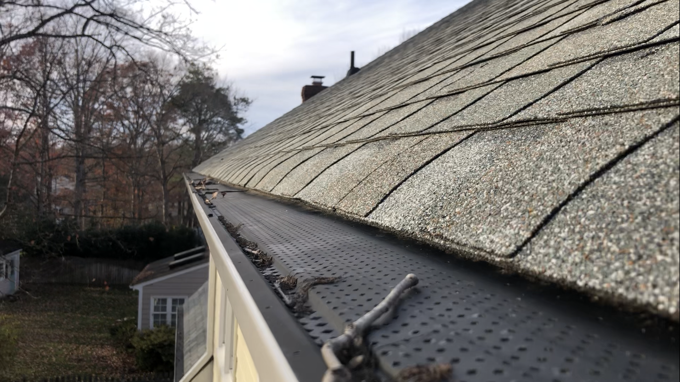 Evergreen Gutters Image