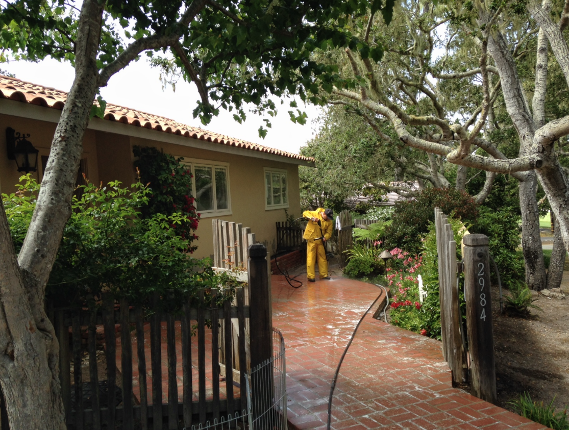 Sunshine Painting & Wallpaper Co Image