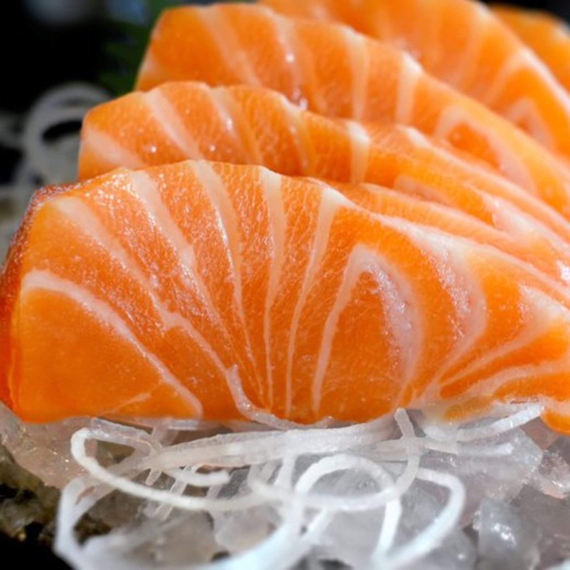 Salmon Sashimi