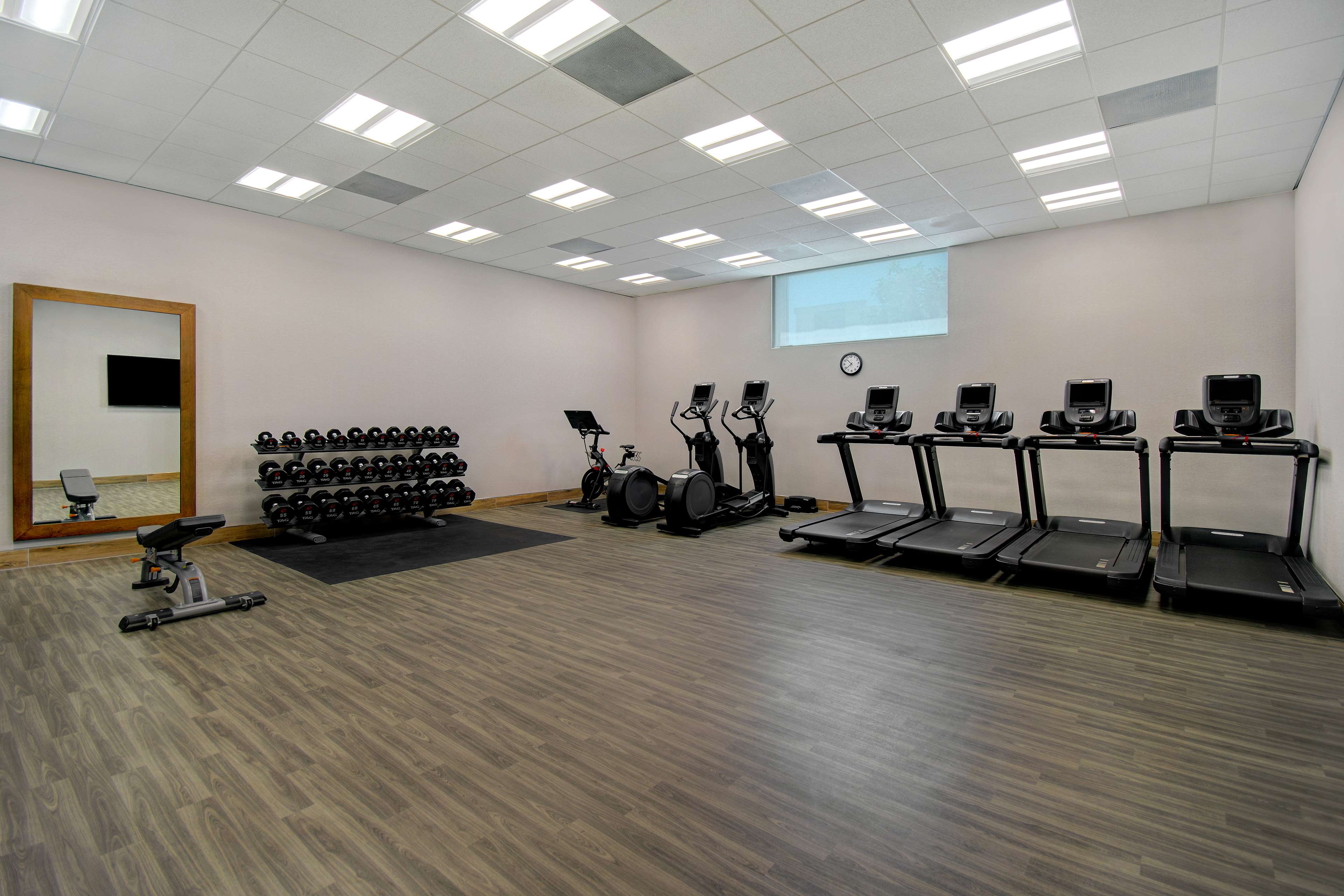 Health club  fitness center  gym