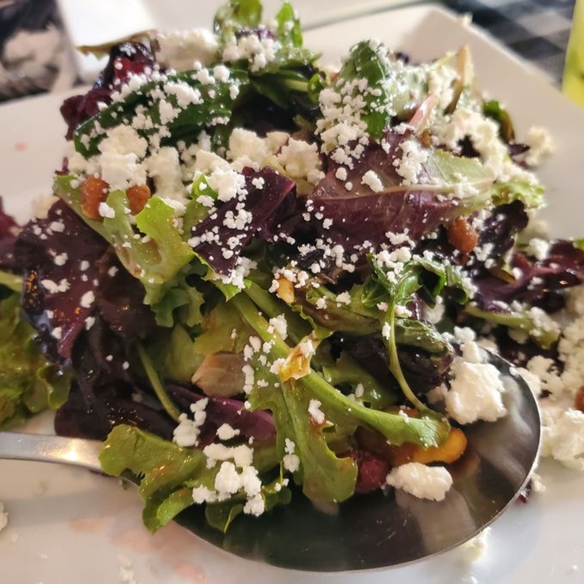 Mesclun Salad