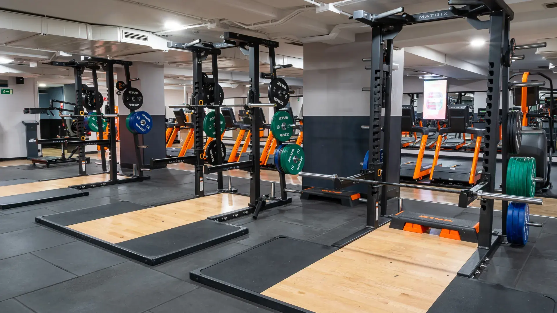 Galería en miniatura