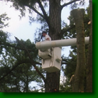 Tri-County Tree Service Photo