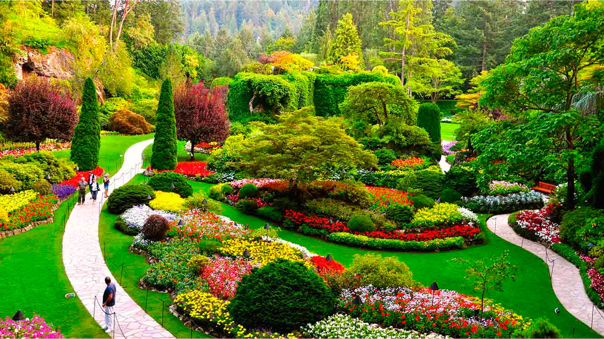 Galería en miniatura