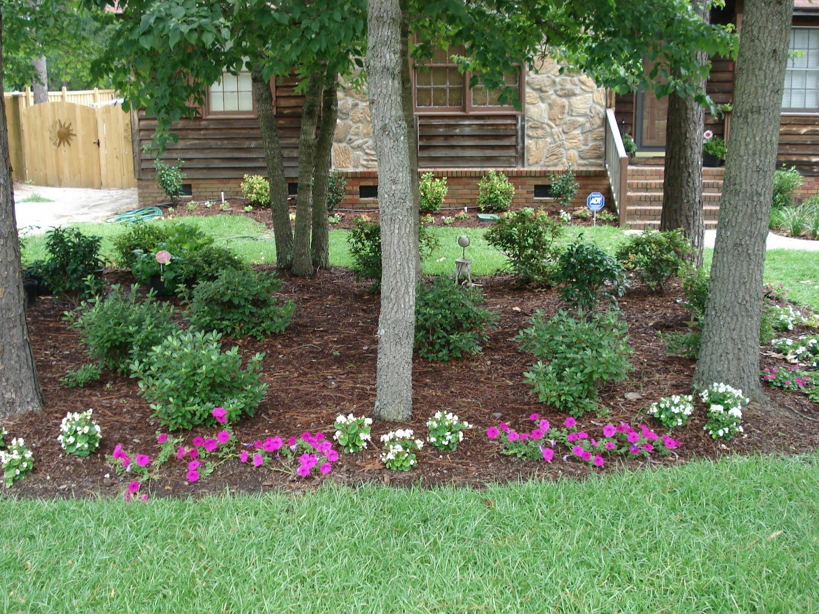 Live Oak Services, LLC Logo