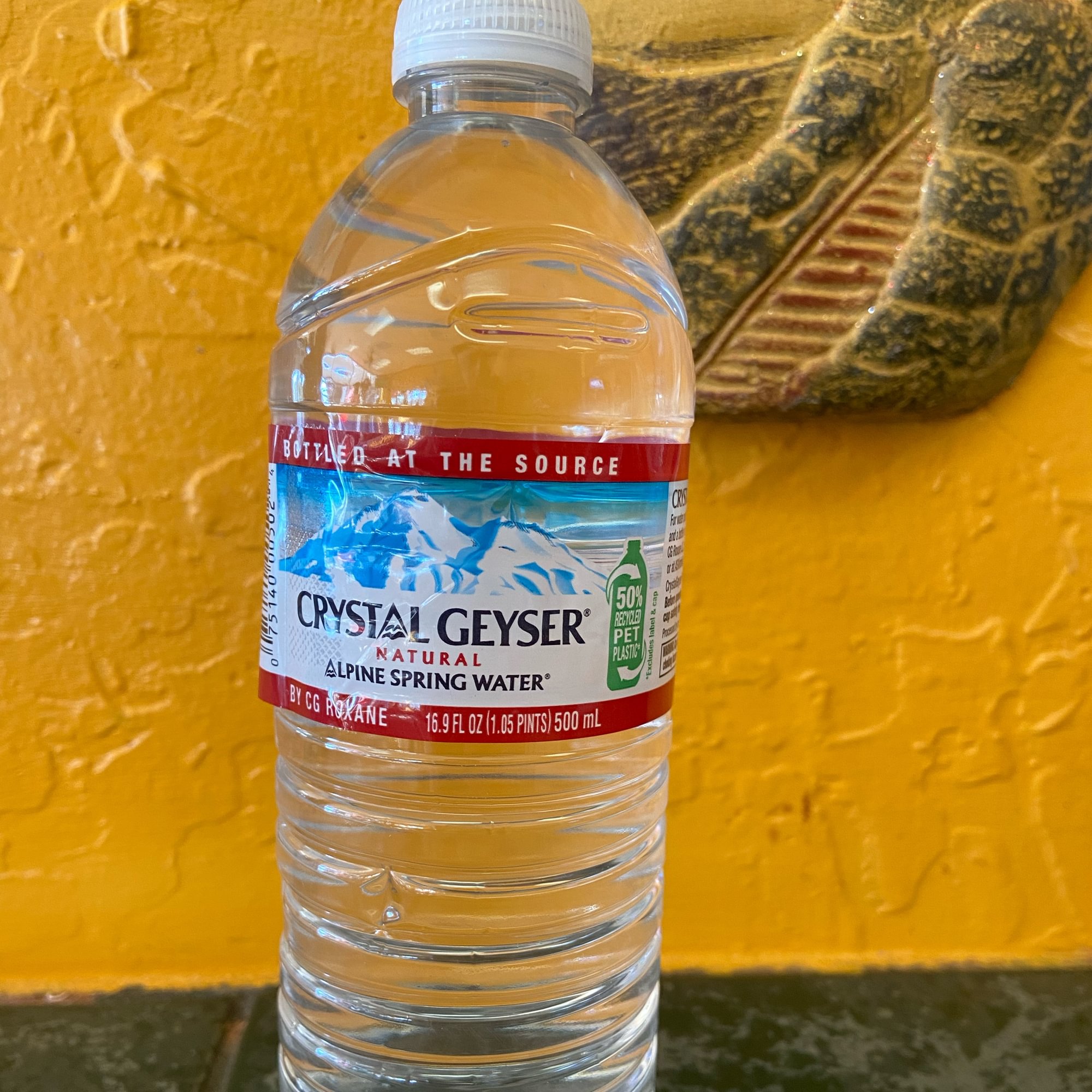 Water Bottle