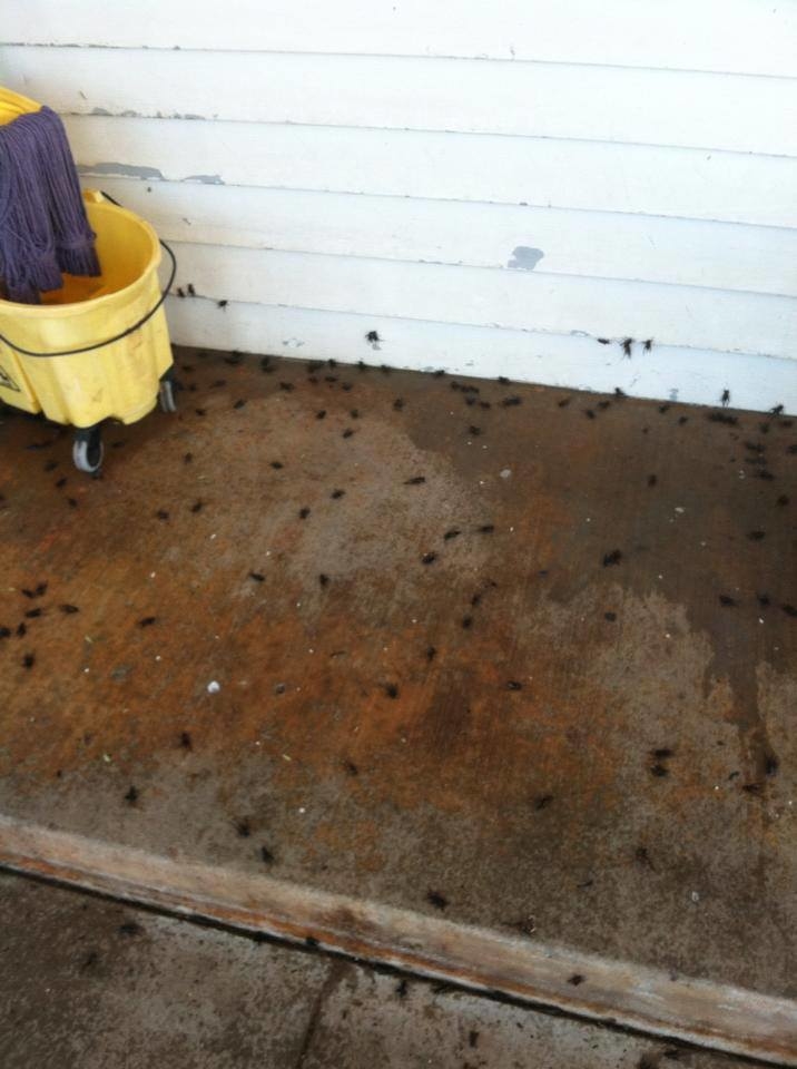 Territory Termite & Pest Control Image