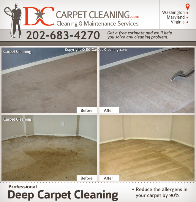 DC Carpet Cleaning Photo