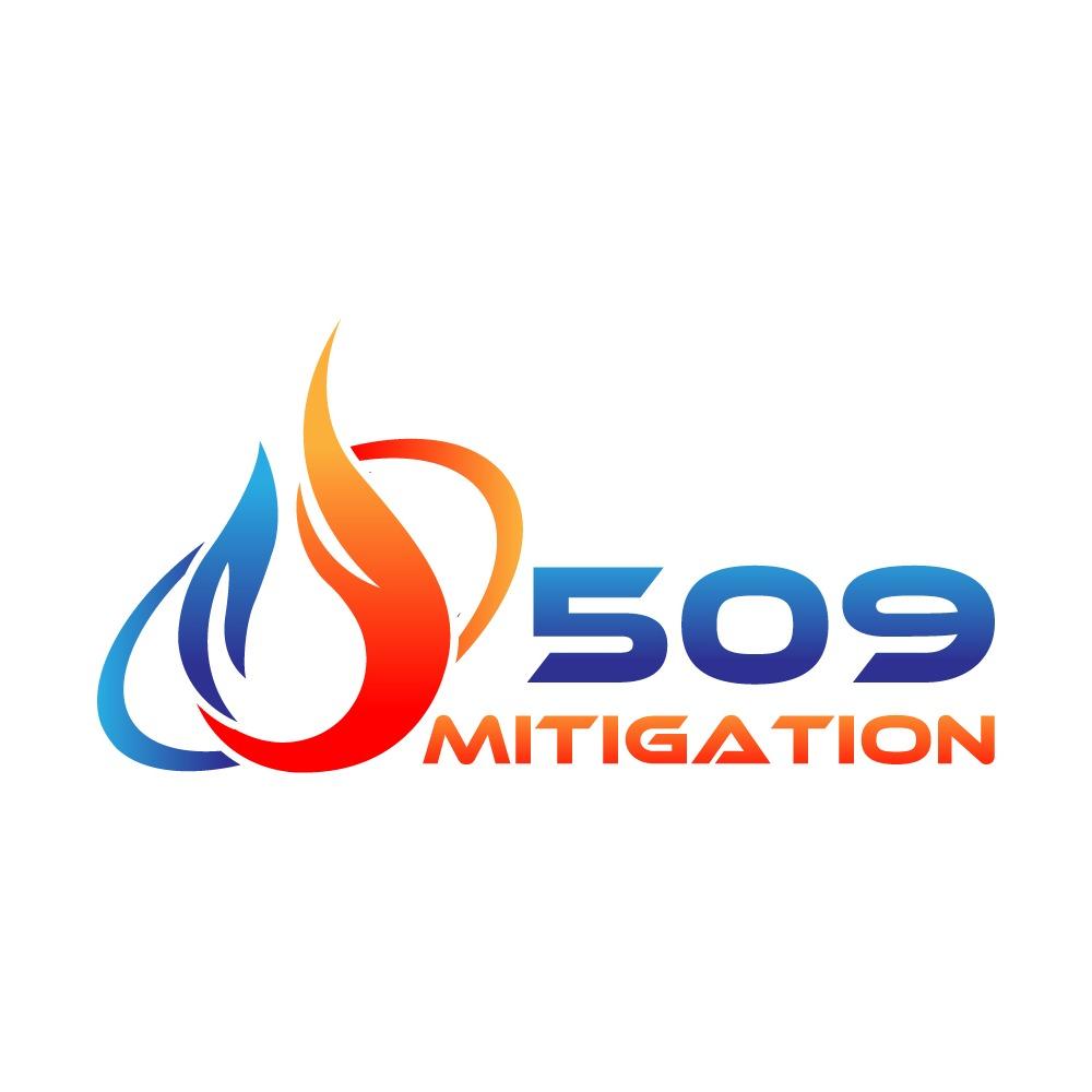 509 Mitigation