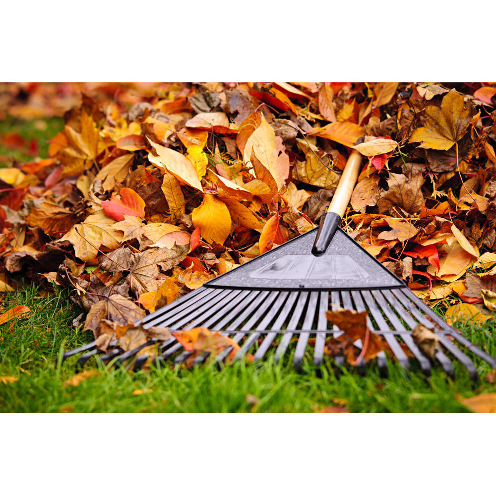 Ray Moreno Landscaping Logo