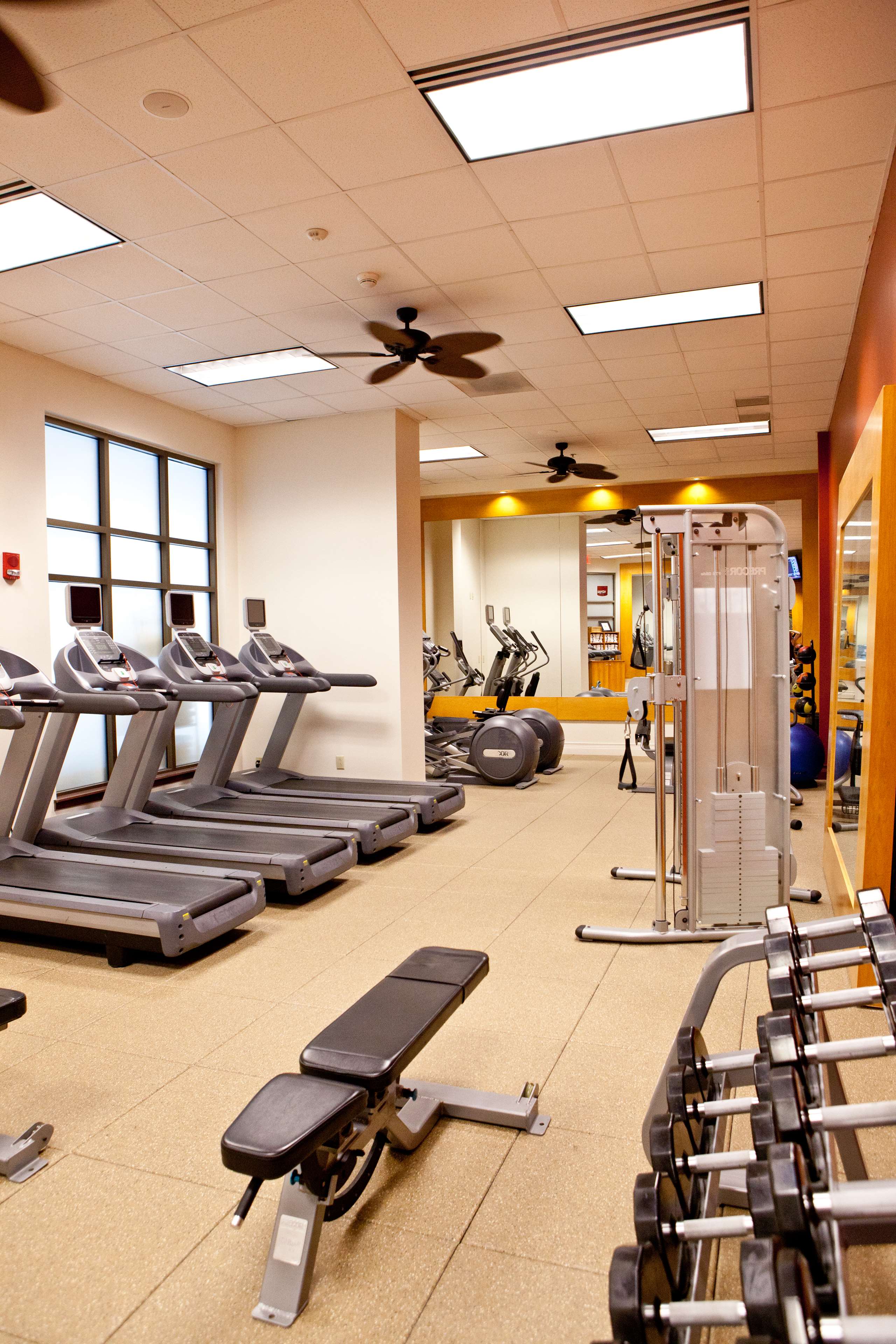 Health club  fitness center  gym