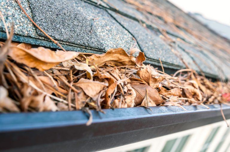 Gutter Cleaning