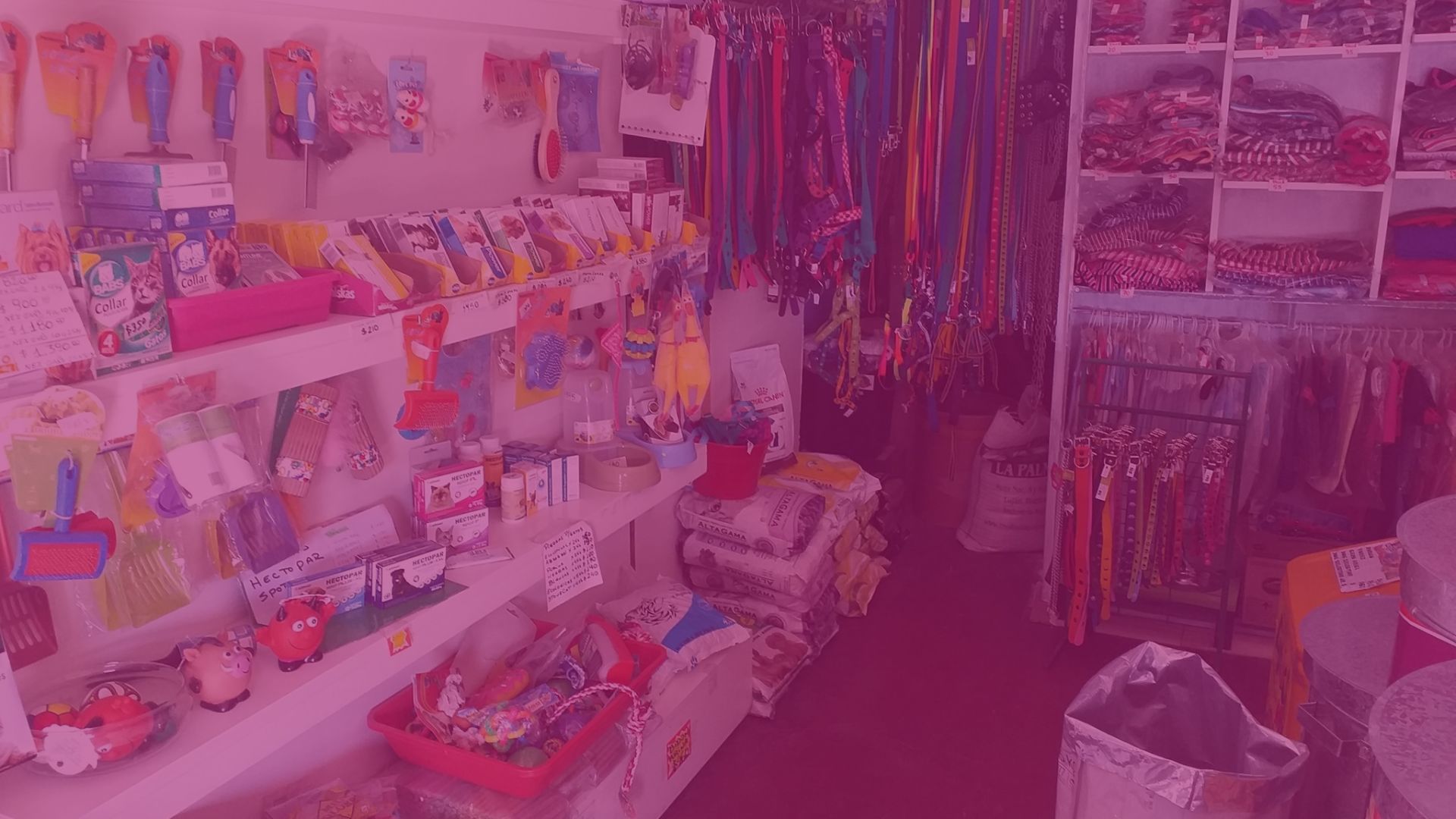 Galería en miniatura