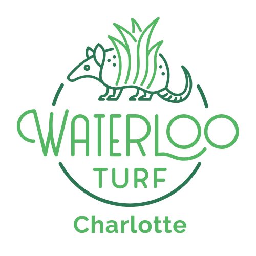 Waterloo Turf Charlotte