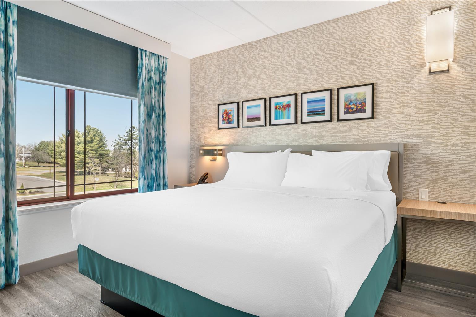 Hilton Garden Inn Wisconsin Dells Image