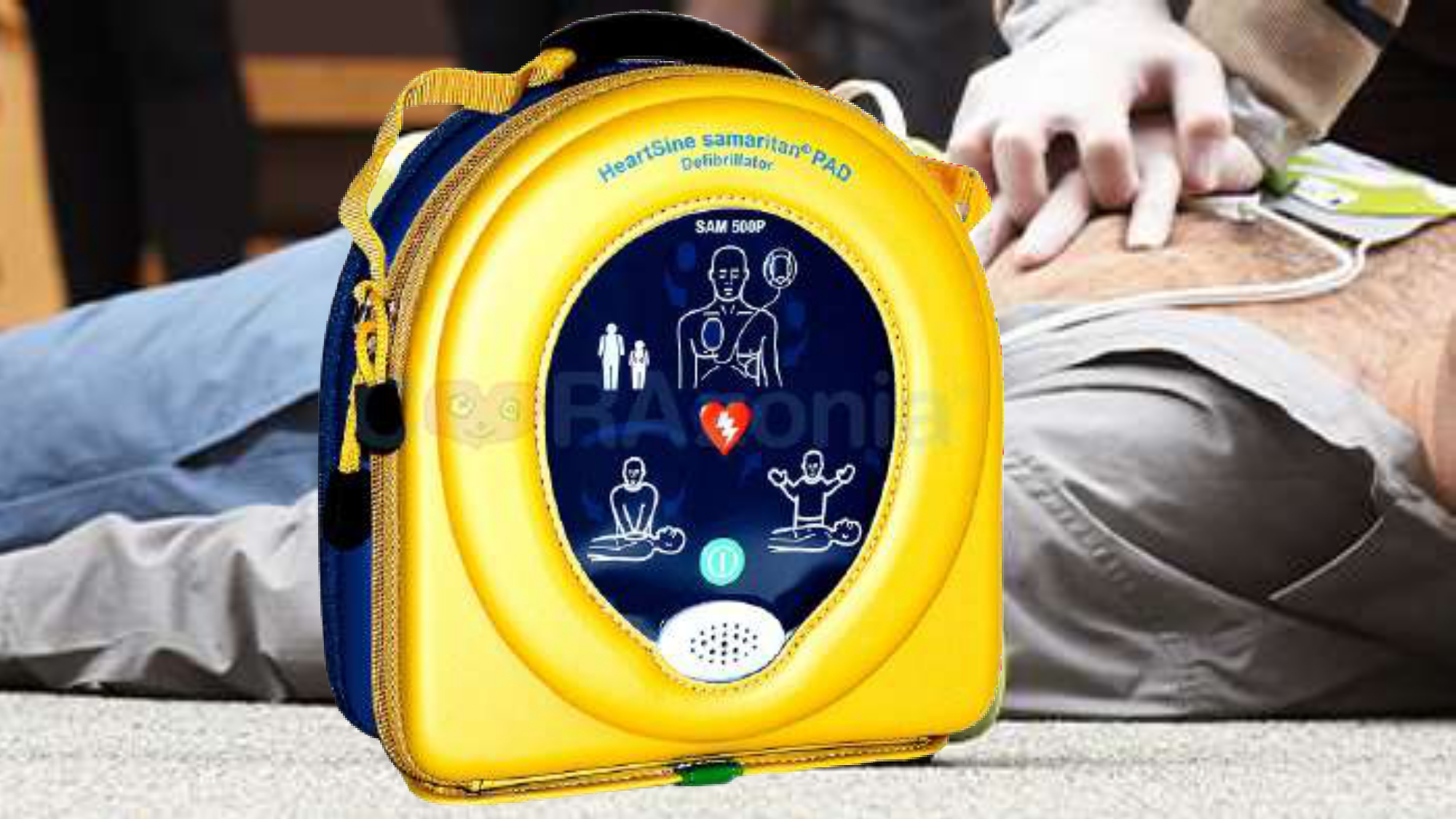 Galería en miniatura