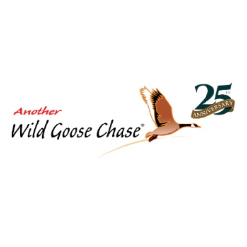 Wild Goose Chase