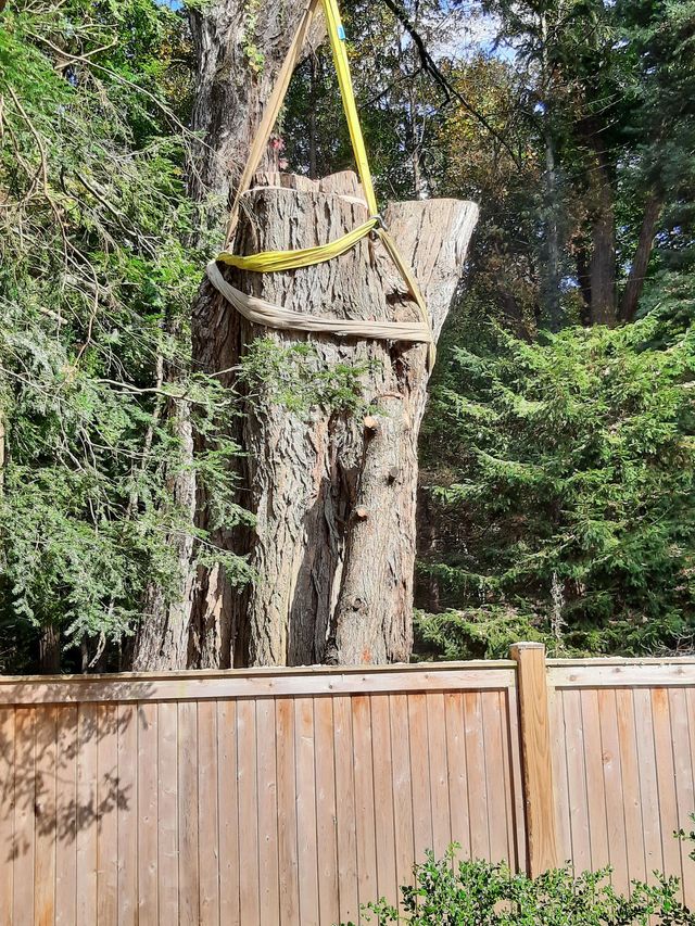 Bob's Tree Services Image