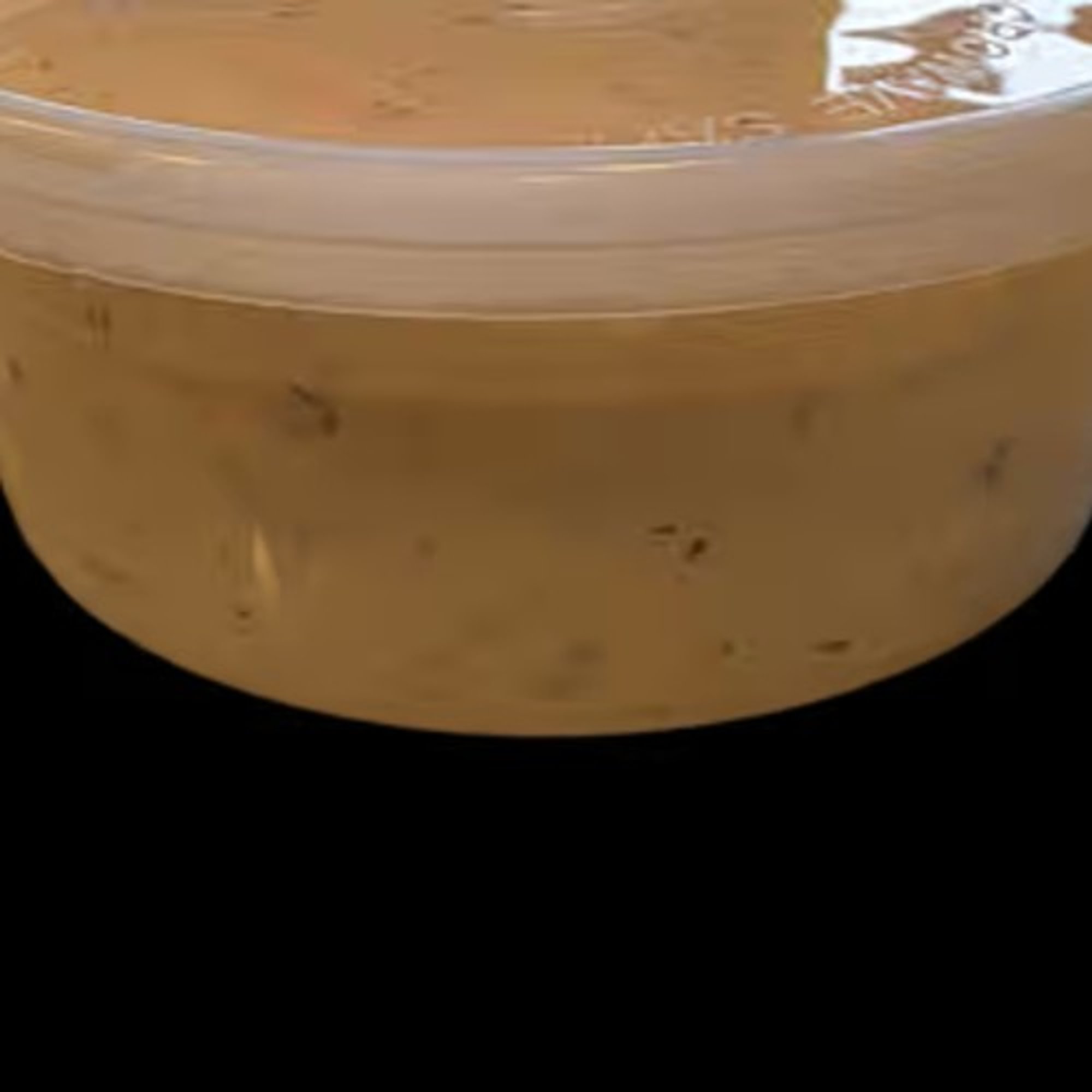 Afghan White Sauce 8oz