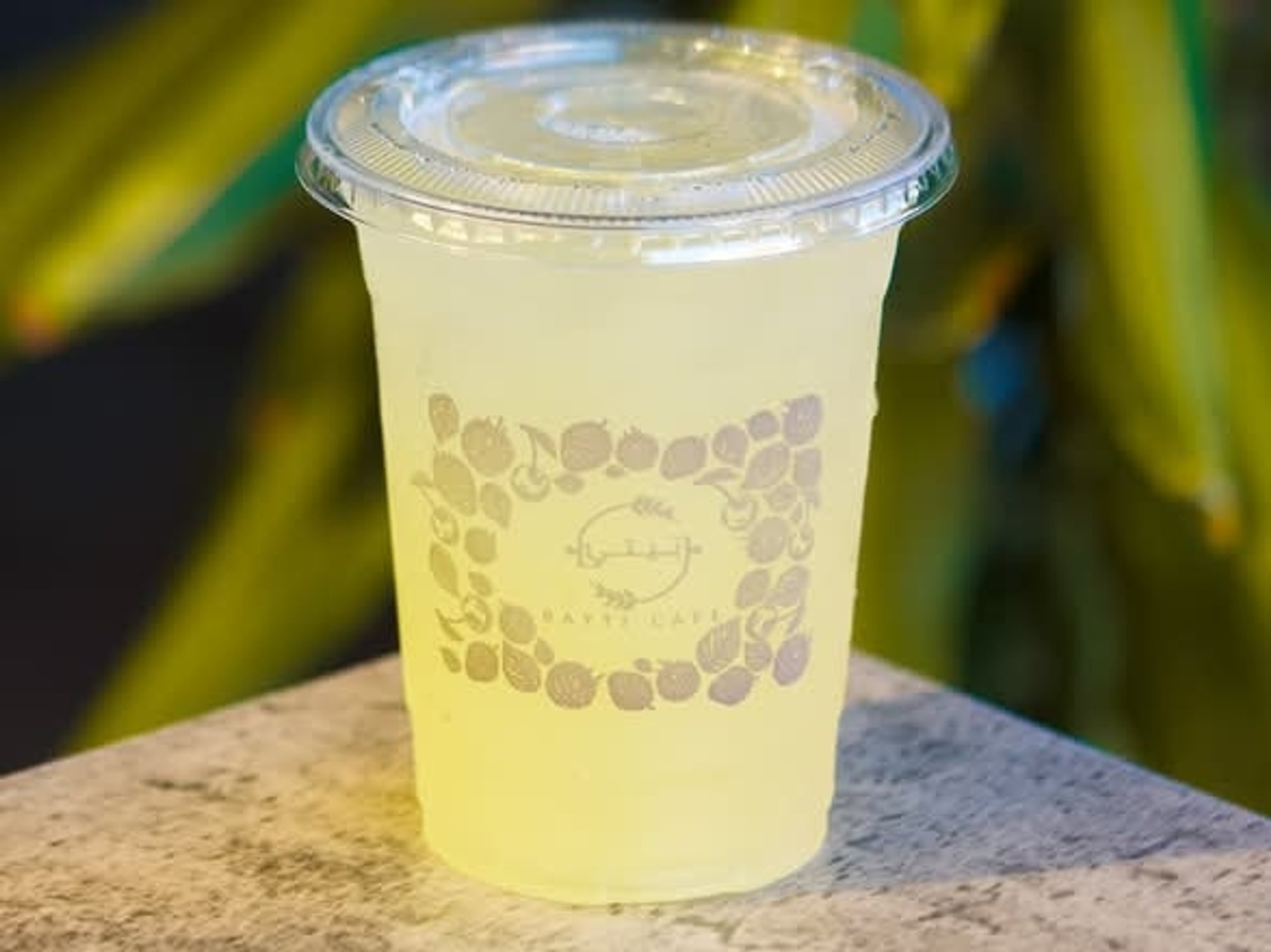 Pineapple Kiwi