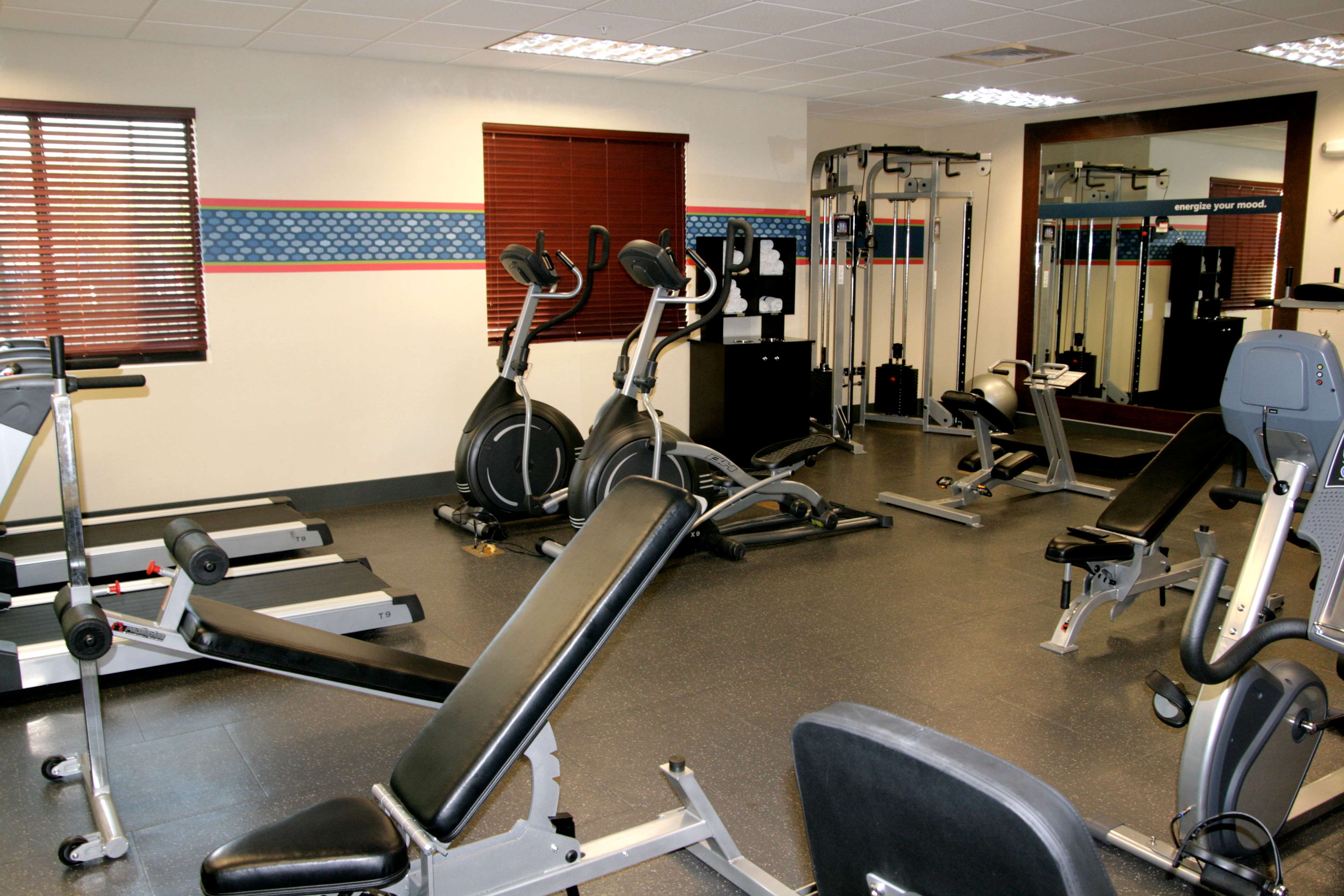 Health club  fitness center  gym