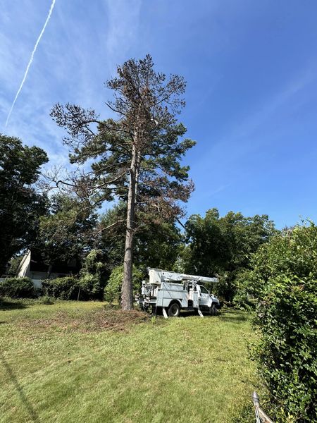 Kirby's Tree Care LLC Image