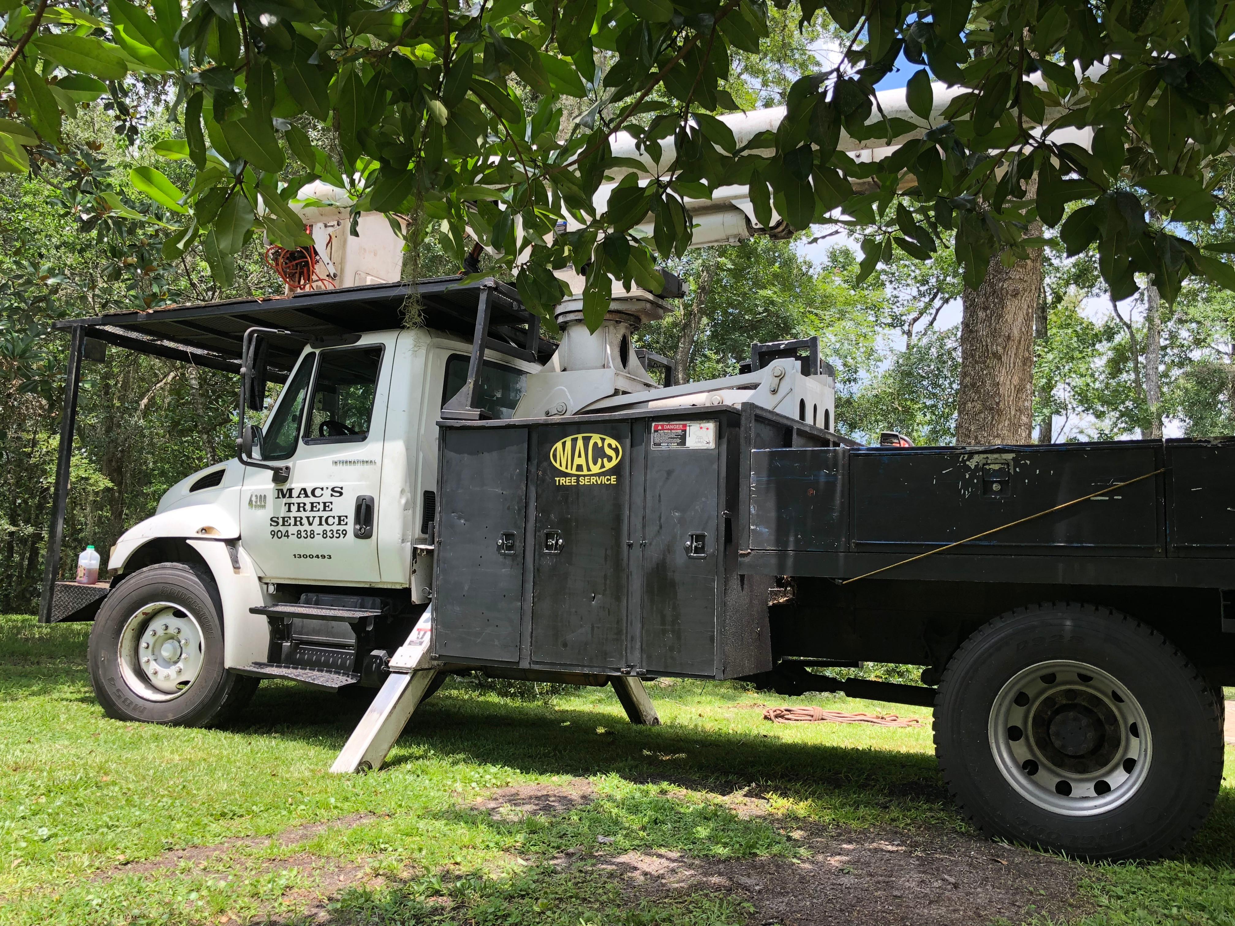 Macs Tree Service