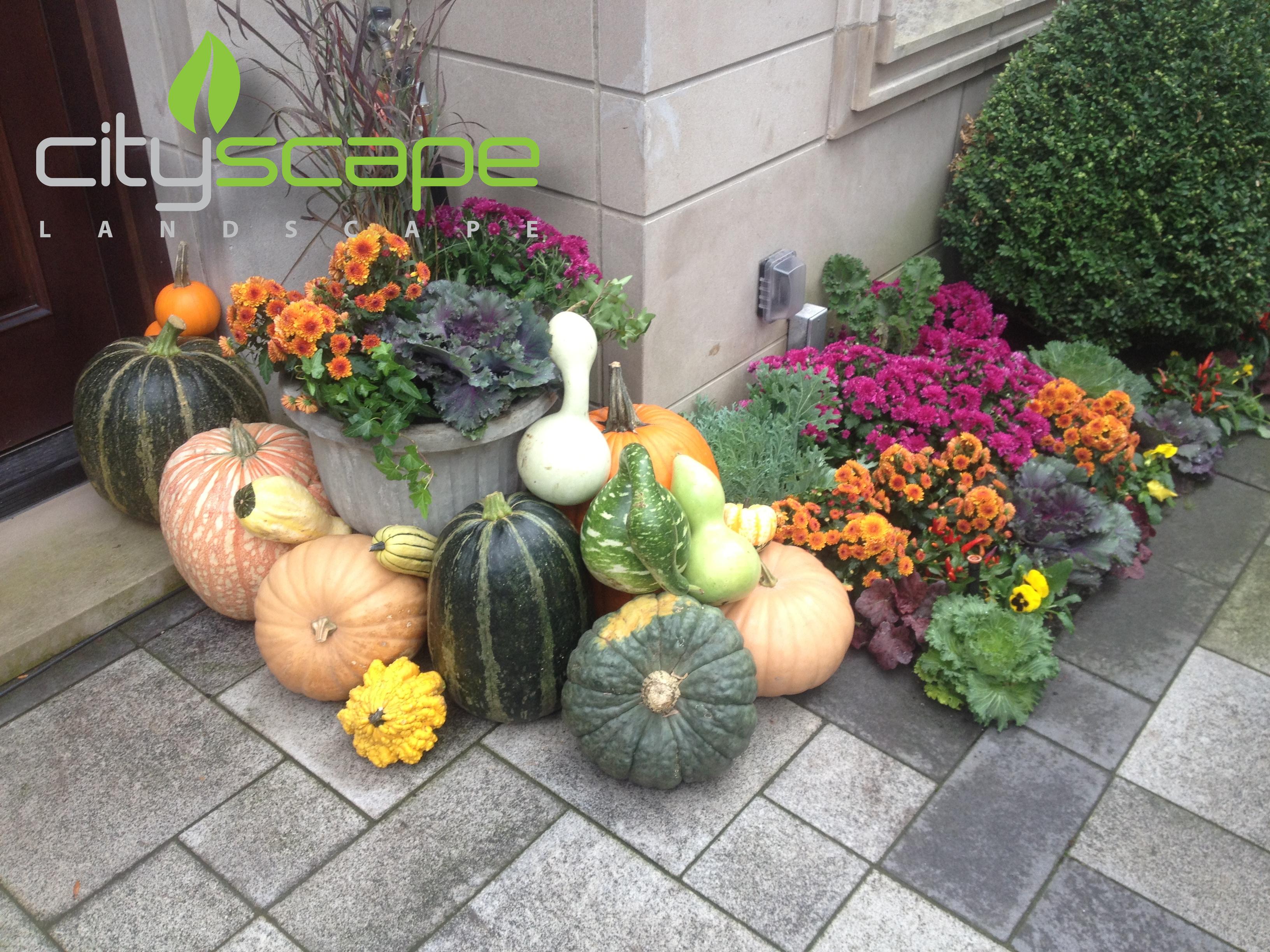 Cityscape Landscape Image