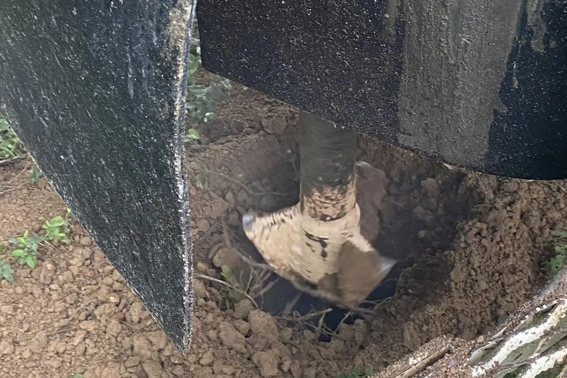 Well Pump Repair