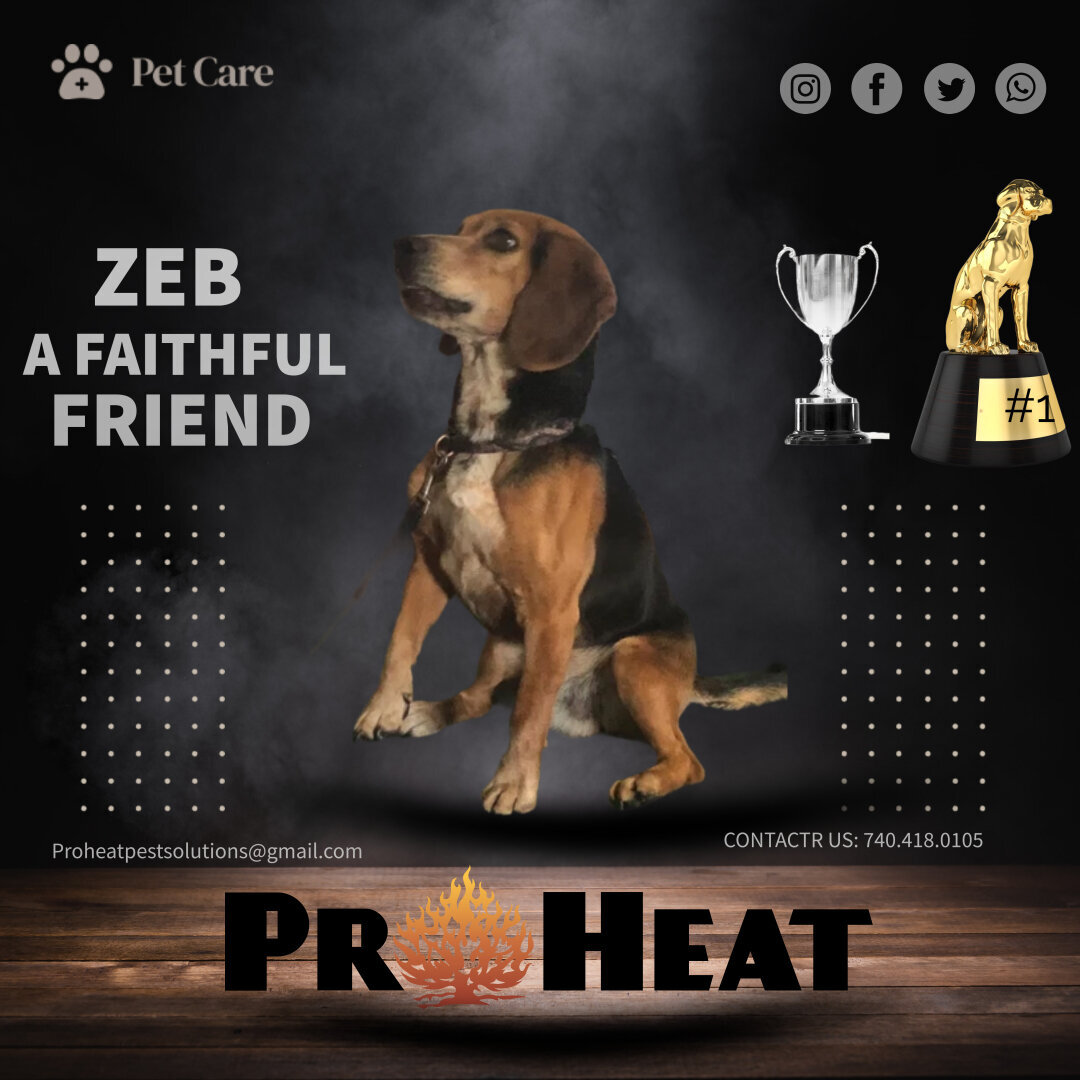 Pro Heat Pest Solutions LLC Image