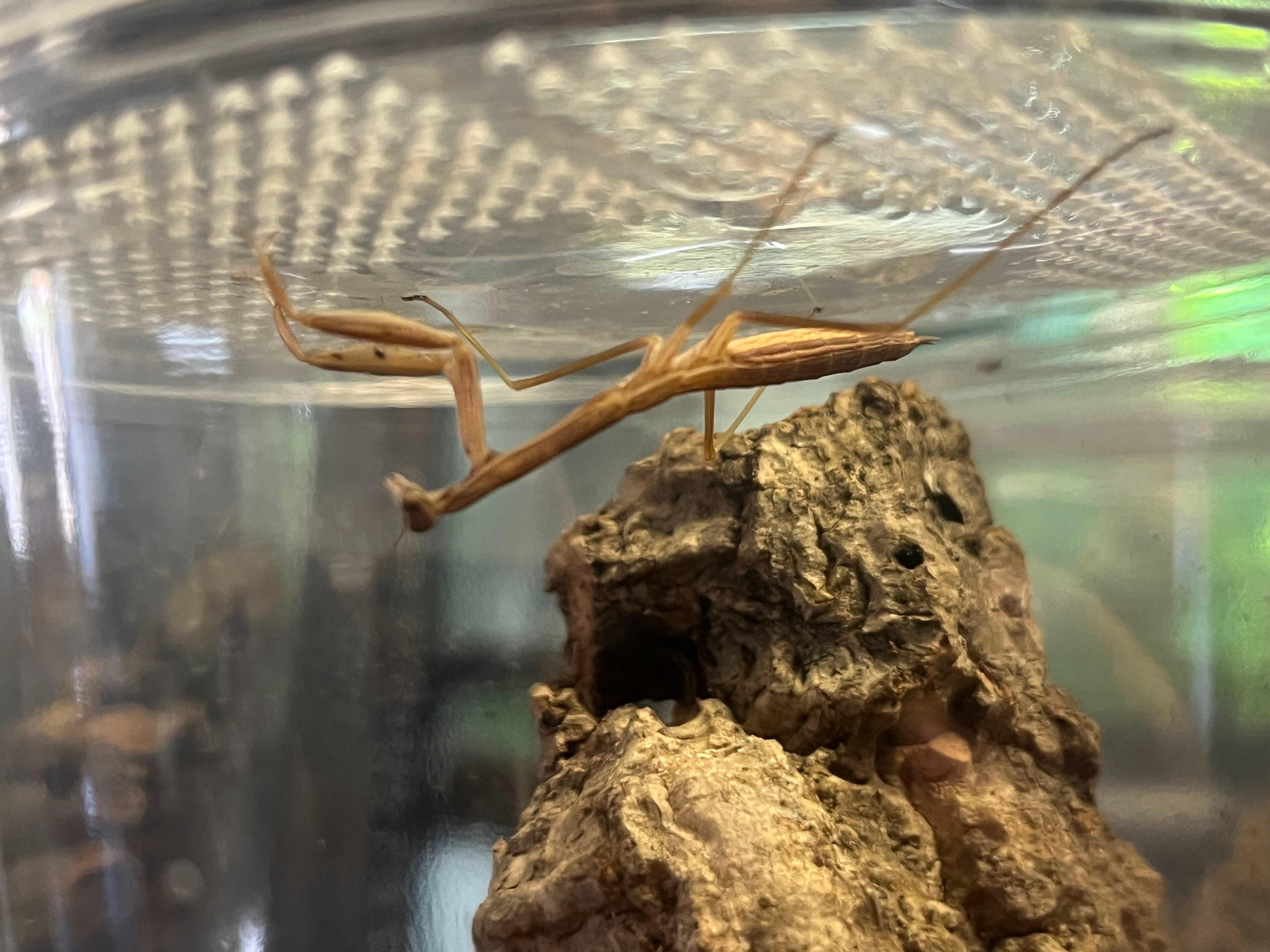 Terrarium Station Image