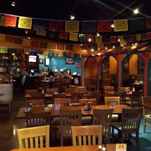 El Loro Mexican Restaurant Photo