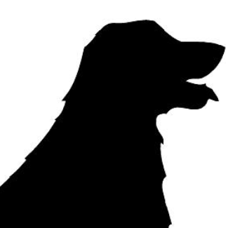 Yard Dawgs Mowing and Lawn Maintenance Logo