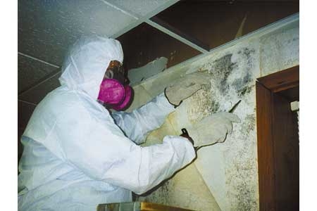 Healthy Way Waterproofing & Mold Remediation Photo