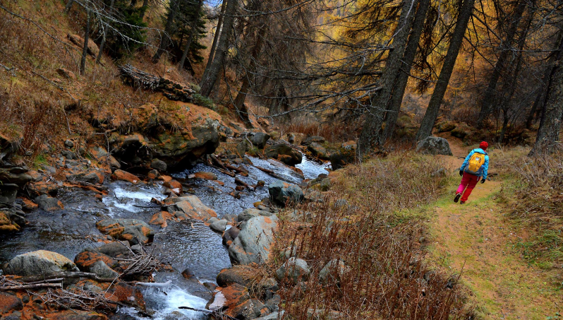 Gallery thumbnail