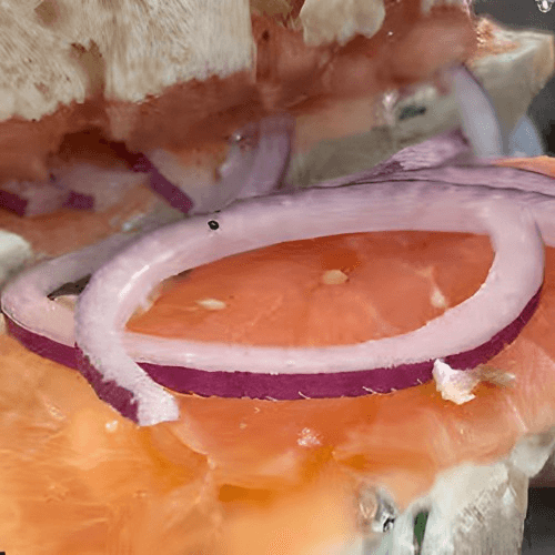 Genoa Salami Sandwich