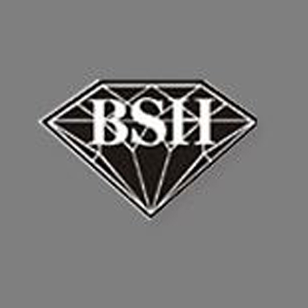 Logo von BSH-Betonbohr- und Sägeunternehmen GmbH