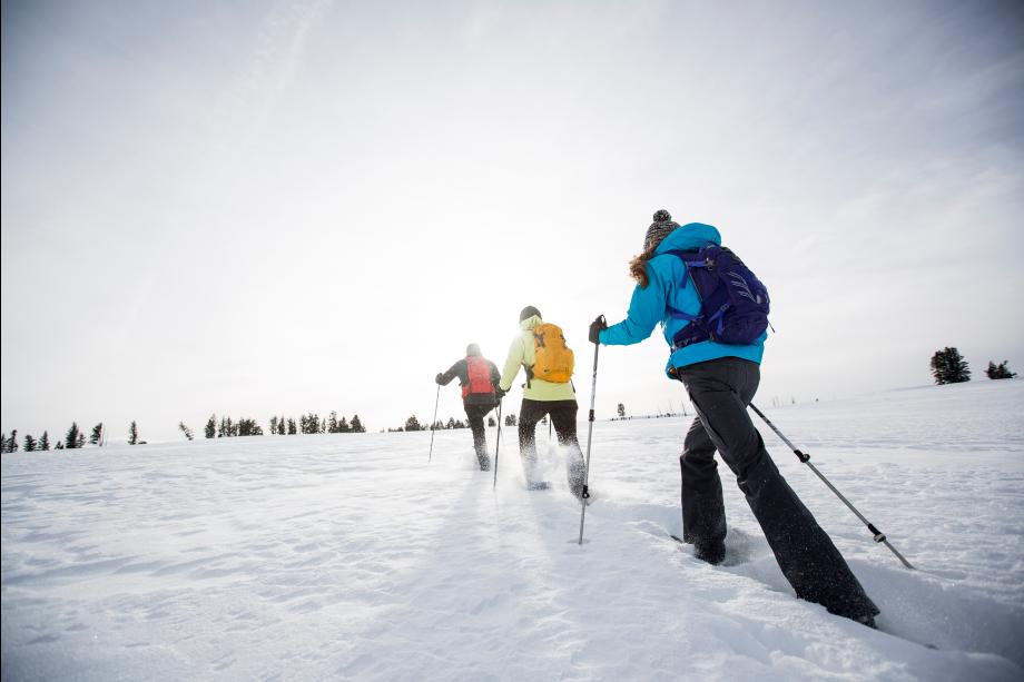 Snow shoeing in the winter