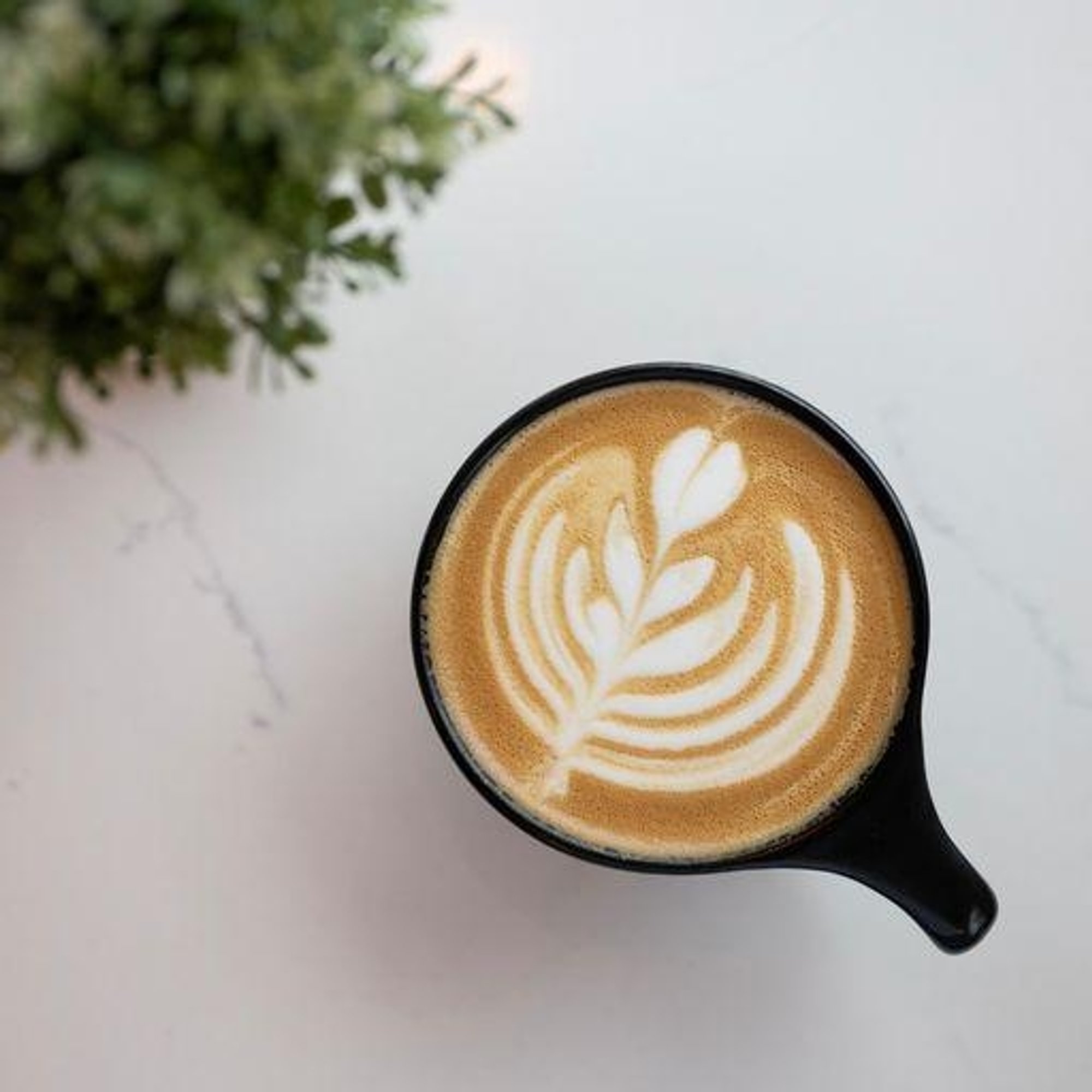 Cappuccino (8oz)