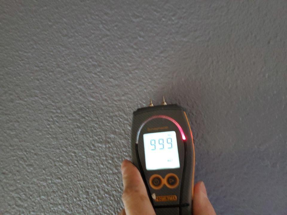 Water Damage, Inc. Image