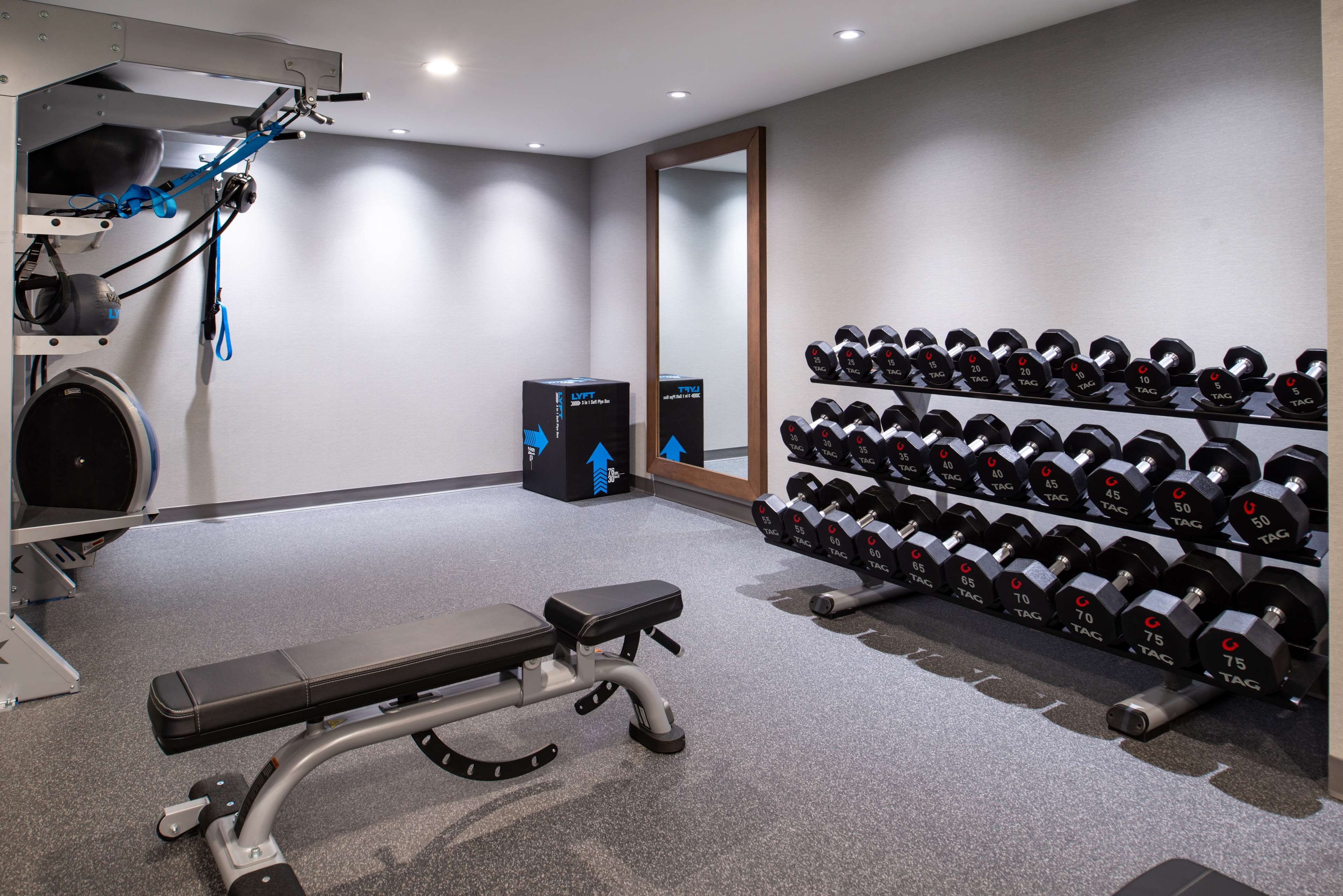 Health club  fitness center  gym