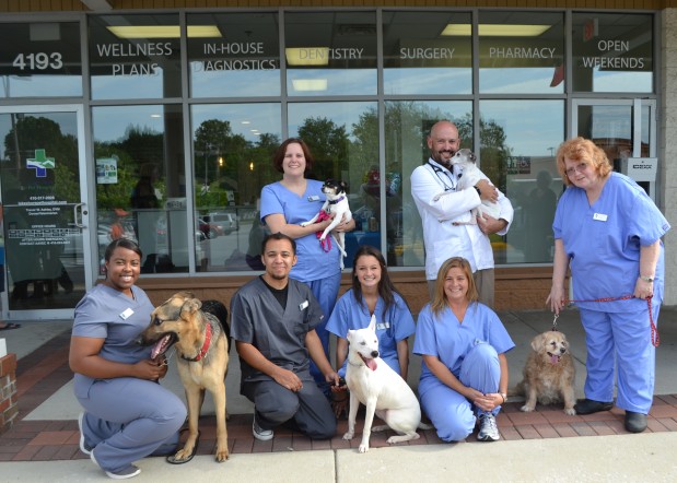 Lake Shore Pet Hospital Image