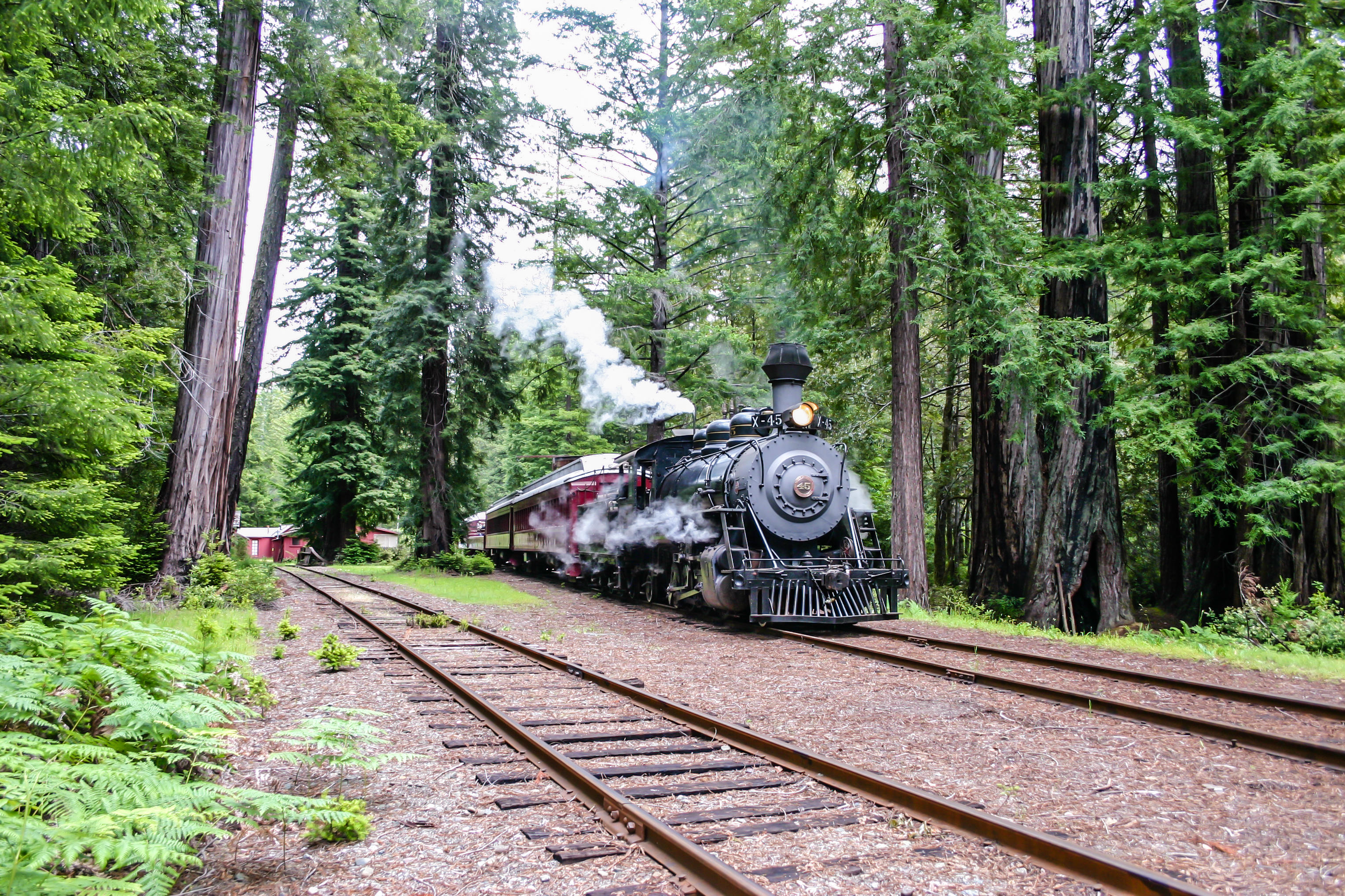 The Skunk Train, Fort Bragg – Tourist Information California