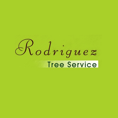 Rodriguez Tree Service Photo