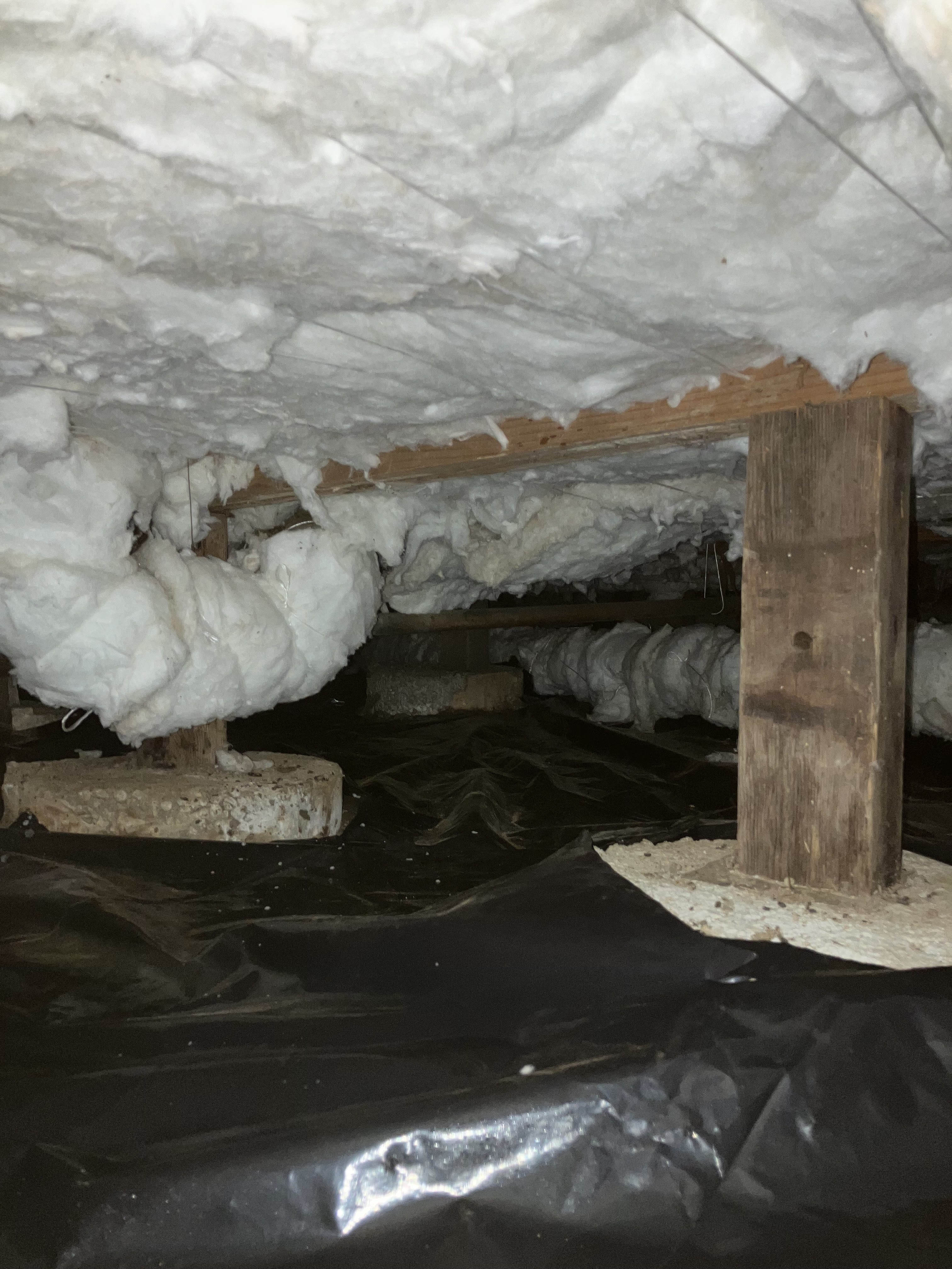 USA Insulation of North Puget Sound Image