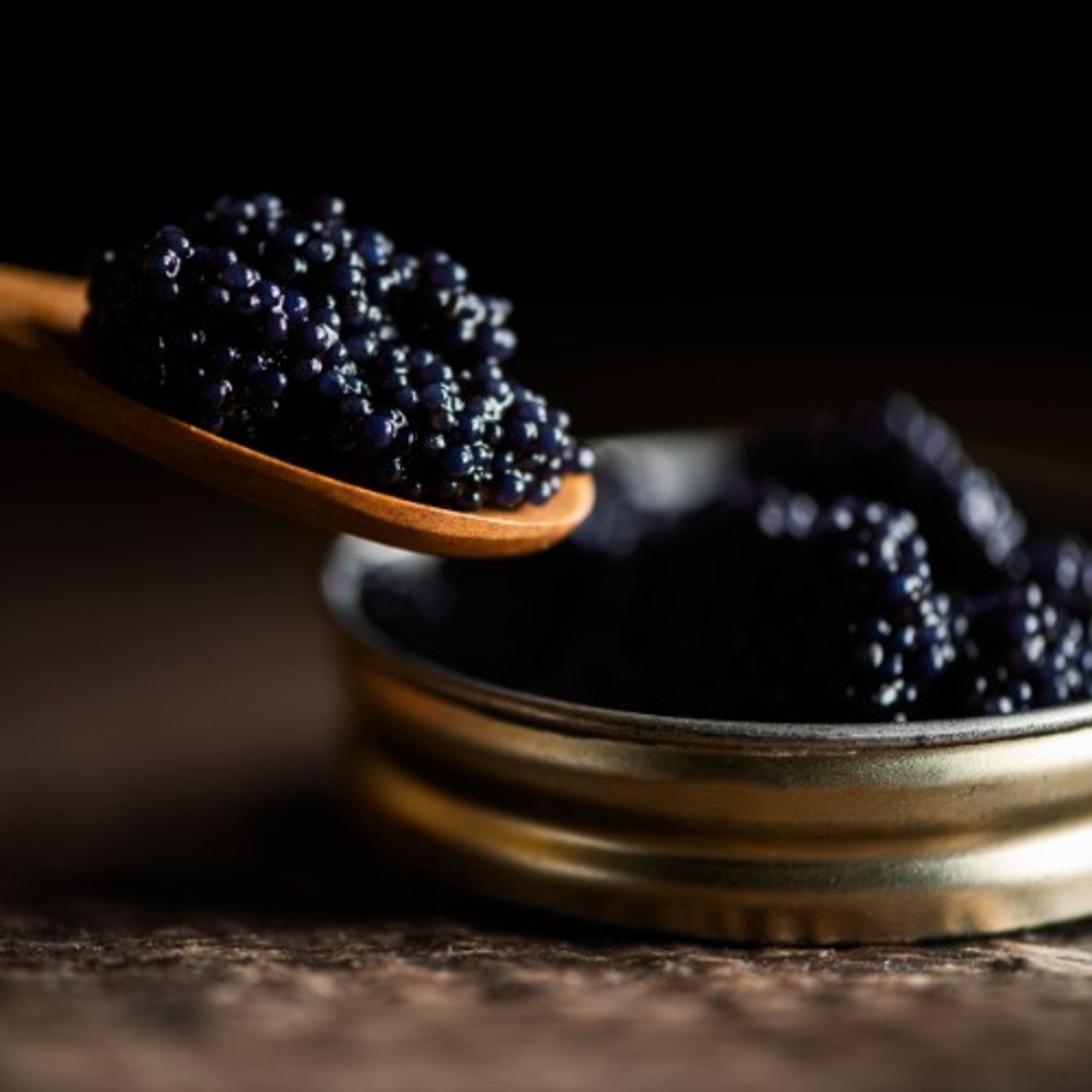 Vintage Caviar