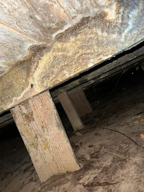 Crawl Space Mold Removal