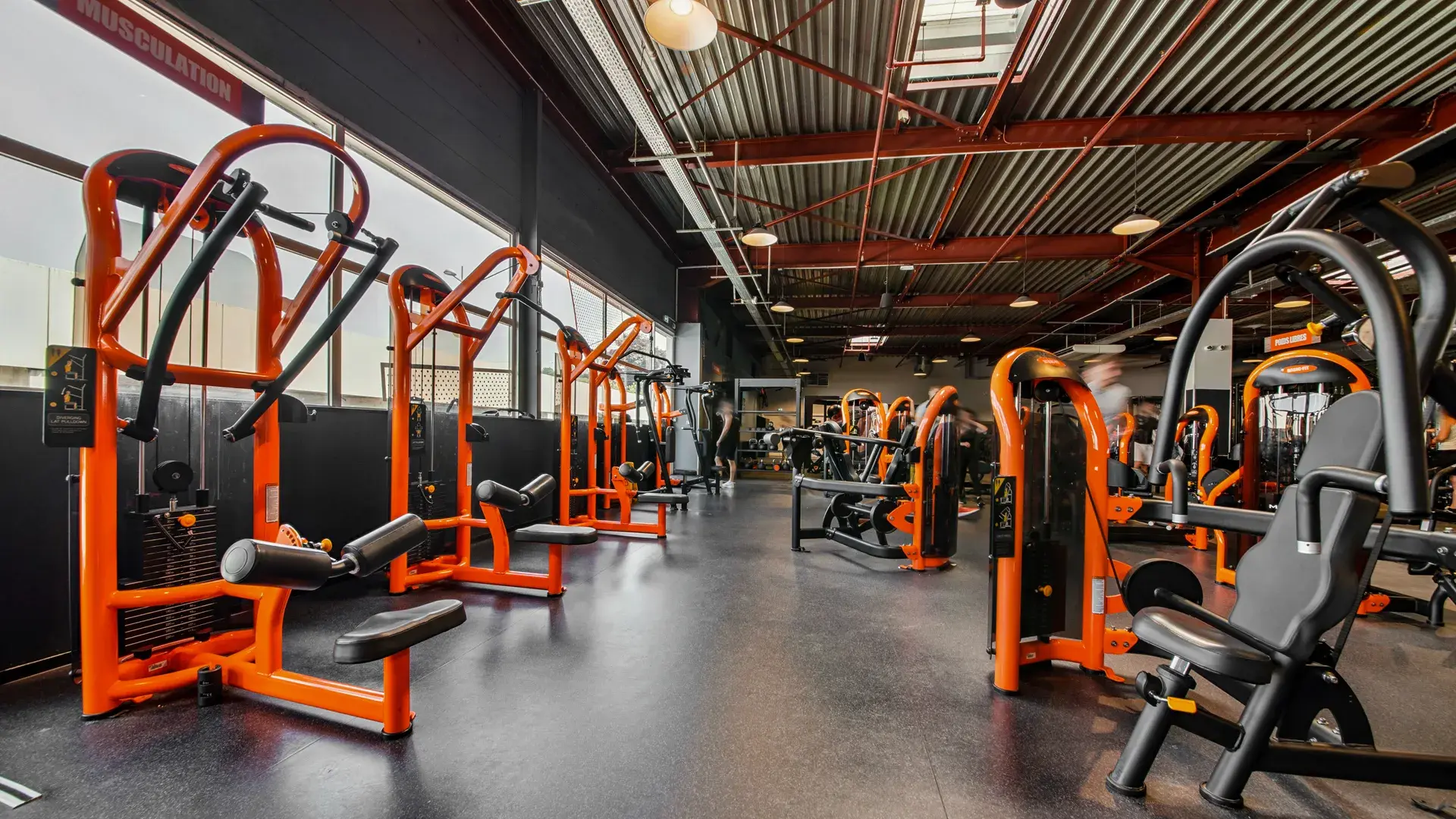 Miniature de la galerie